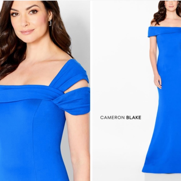 Cameron Blake - 120604 Asymmetrical Seamed Evening Dress (SIZE 12) - Picture 2 of 4